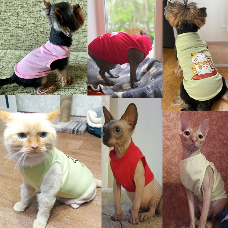Šunų rūbai mažiems šunims Mieli marginti vasariniai augintiniai marškinėliai šuniukas šuniukas, katės liemenė, medvilniniai marškinėliai, mopso drabužiai, kostiumai