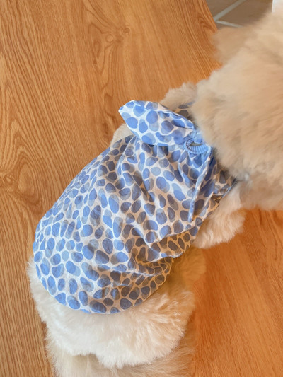 Kawaii malta seelik Armsad kassi koera seelikud Armsad täpikesed lemmiklooma koera vest Kleit šnautser Pommeri tropid riided kutsika printsessi rõivad