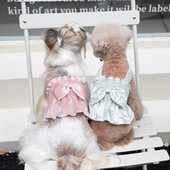 Toamnă și iarnă Haine pentru animale de companie Dantela mâneci cu bule Top Câini Pisici Anul Nou Rochie de Crăciun Câini Fusta