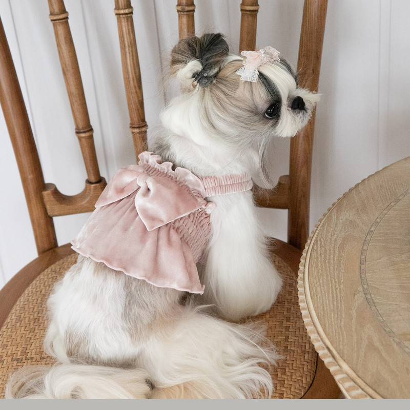 Toamnă și iarnă Haine pentru animale de companie Dantela mâneci cu bule Top Câini Pisici Anul Nou Rochie de Crăciun Câini Fusta