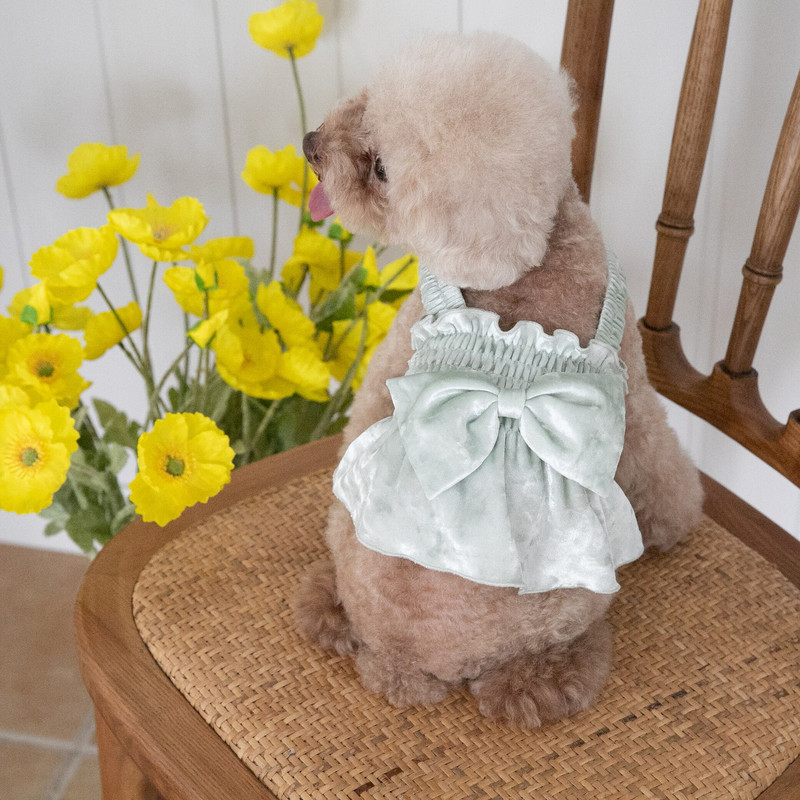 Toamnă și iarnă Haine pentru animale de companie Dantela mâneci cu bule Top Câini Pisici Anul Nou Rochie de Crăciun Câini Fusta
