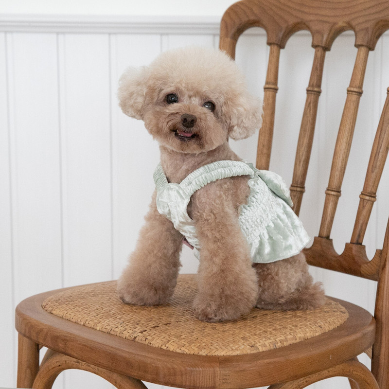 Toamnă și iarnă Haine pentru animale de companie Dantela mâneci cu bule Top Câini Pisici Anul Nou Rochie de Crăciun Câini Fusta