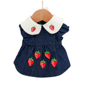 Jesenné a zimné nové oblečenie pre domáce zvieratá, jahodové princeznovské šaty, plyšové mačiatko, jahodové džínsové sukne pre psa, rifľové oblečenie pre šteniatka