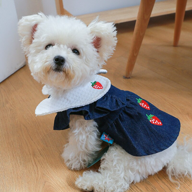 Jesenné a zimné nové oblečenie pre domáce zvieratá, jahodové princeznovské šaty, plyšové mačiatko, jahodové džínsové sukne pre psa, rifľové oblečenie pre šteniatka