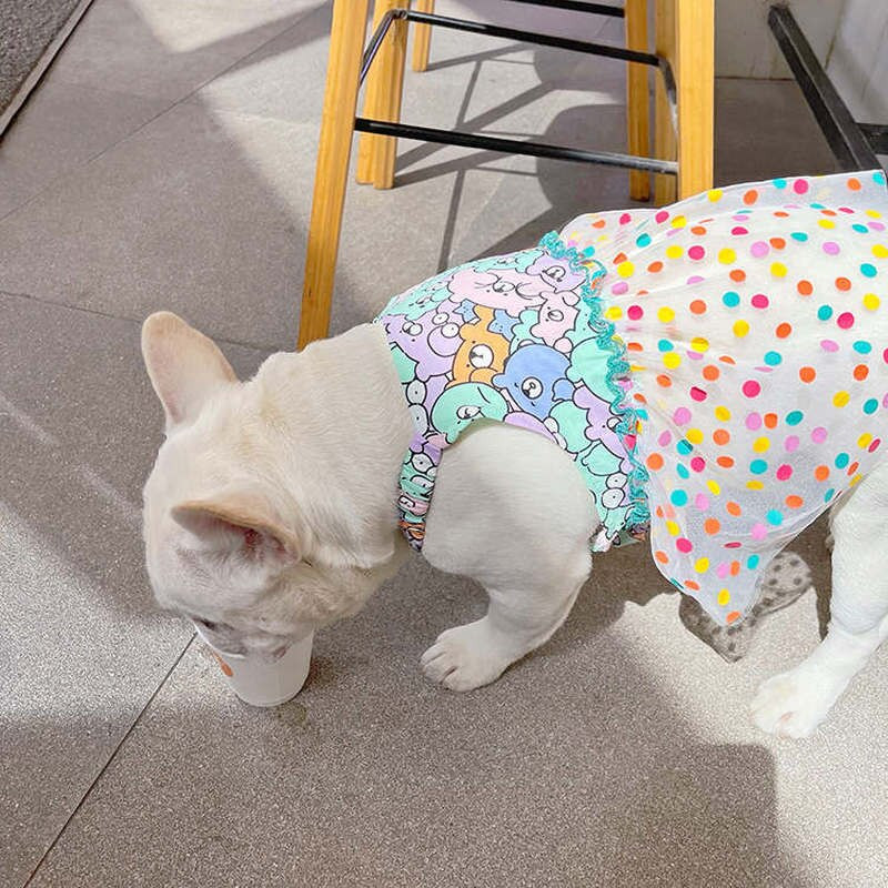 Šuns Princesės Drabužiai Mieli Korėjos Meškiuko Spaudiniai Naminio šuns Suknelė Prancūzų Buldogo Sijonas Kawaii Šuniuko Drabužiai Mergaitės Kostiumas Pet Mopso Apranga