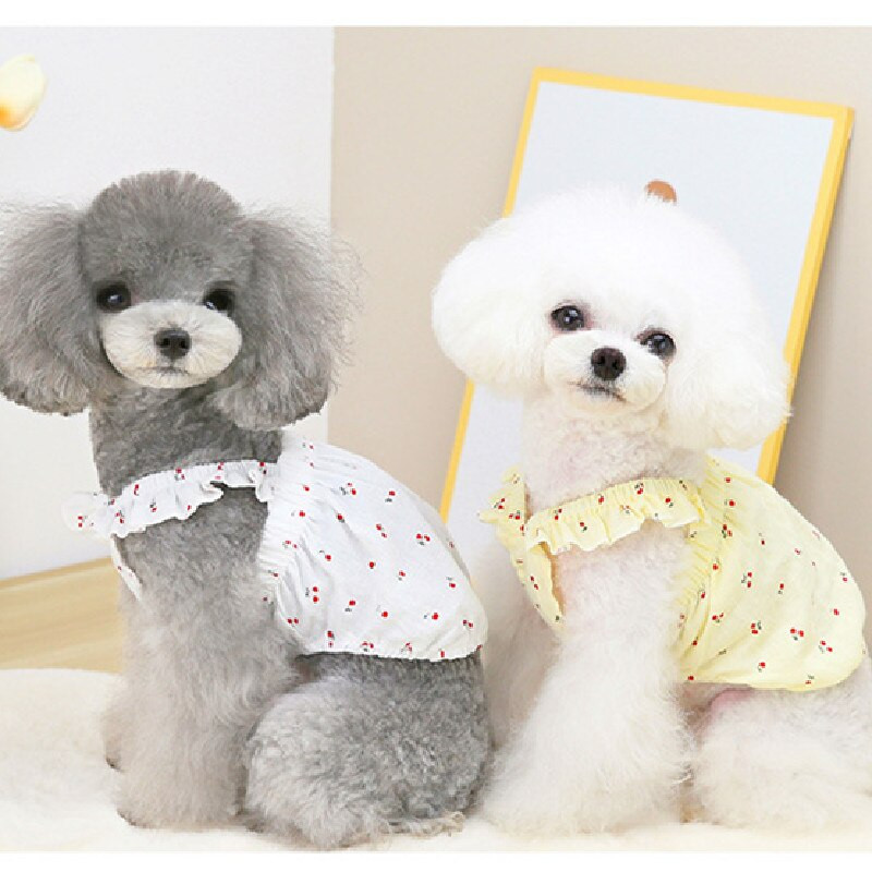 Lemmikloomade koerte riided Armsad koerad Suveseelik Kleit Kutsikas Väike Koer Vest Yorkie Pomeranian Shih Tzu Malta puudli šnautseri kostüümid