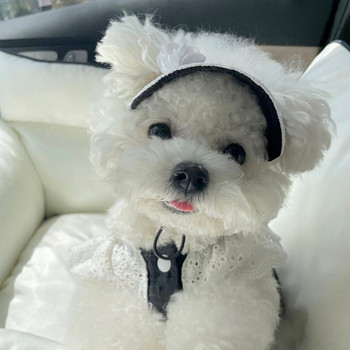 INS Κορέα Jennie Girl Group Μικρό άρωμα σε στυλ σκύλου με αντίθεση χρώματος καπέλο ηλίου Σκύλος Καλοκαιρινό καπίστρι Φούστα για γάτα δαντέλα Σετ καπέλων για κατοικίδια