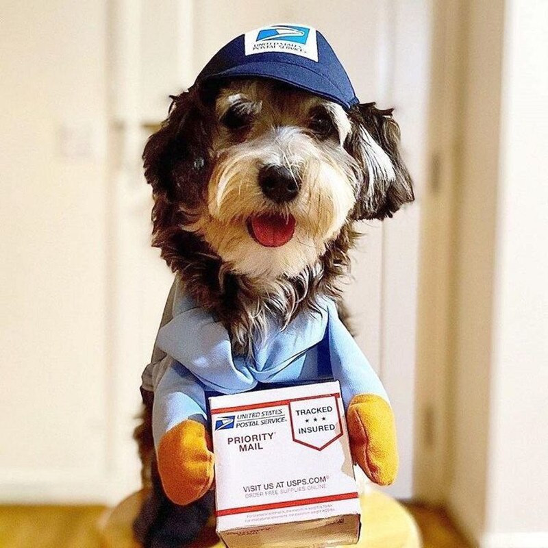 Uus Halloweeni messengeri lemmikloomade kostüüm, naljakas ja armas festivali tähistamise riided kassi või koera jõuludeks Cosplay-tarvikud