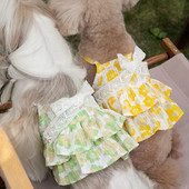 Maži šunų drabužiai katės liemenė, suknelė Čihuahua kostiumas Jorkšyro šuniukas Pomeranijos maltiečių bichon pudelis, šnauceris, drabužių sijonas