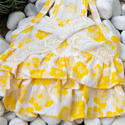 Maži šunų drabužiai katės liemenė, suknelė Čihuahua kostiumas Jorkšyro šuniukas Pomeranijos maltiečių bichon pudelis, šnauceris, drabužių sijonas