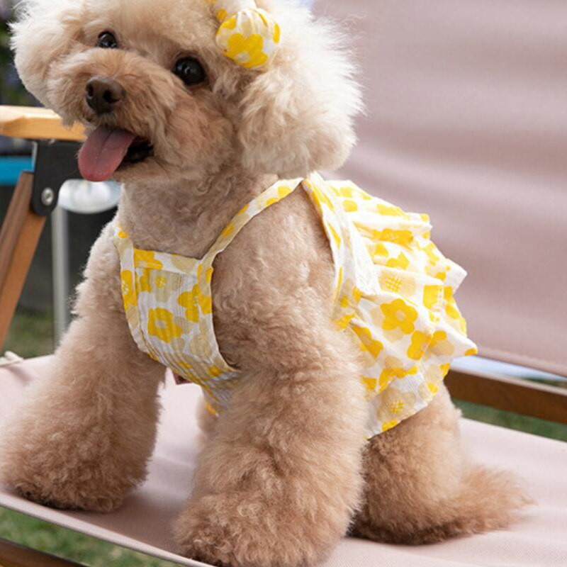 Maži šunų drabužiai katės liemenė, suknelė Čihuahua kostiumas Jorkšyro šuniukas Pomeranijos maltiečių bichon pudelis, šnauceris, drabužių sijonas