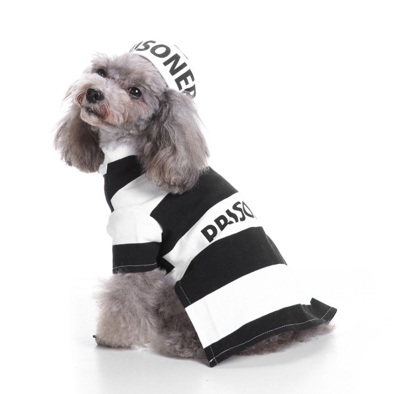 Haine pentru câini de Halloween Costum câine câine închisoare cu pălărie Colecții de costume Holy Hound Dog Costume Haine pentru animale de companie