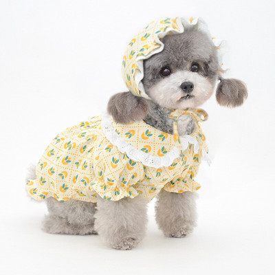 Letné šaty pre psov, klobúk, roztomilé oblečenie pre mačky, sukňa, klobúk proti slnku pre dievčatá, oblečenie pre psov, šaty, yorkshirský pomeranský bulteriér, bišonský pudel, maltézsky bulteriér, kostýmy