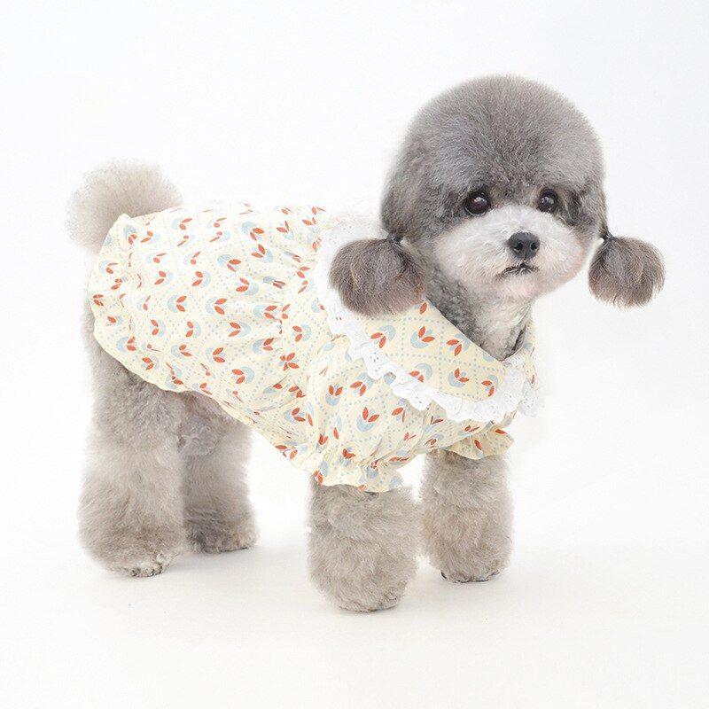Letné šaty pre psov, klobúk, roztomilé oblečenie pre mačky, sukňa, klobúk proti slnku pre dievčatá, oblečenie pre psov, šaty, yorkshirský pomeranský bulteriér, bišonský pudel, maltézsky bulteriér, kostýmy
