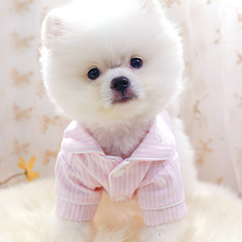 Pyžamo pre domáce zvieratá, francúzsky buldoček, móda, domáce zvieratá, psy, oblečenie, čivava, šteniatko, oblečenie pre malé a stredné psy, kostým, oblečenie pre domáce zvieratá, ropa pero