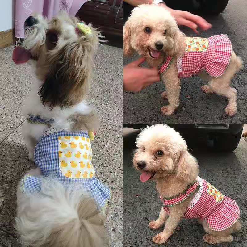 Lemmikkoerte riided Armastajad Riided Koerad Vestid Kleidid Väikesed riided Armsad Kevadsuvi Teddy Pommeri šnautseri koera seelik