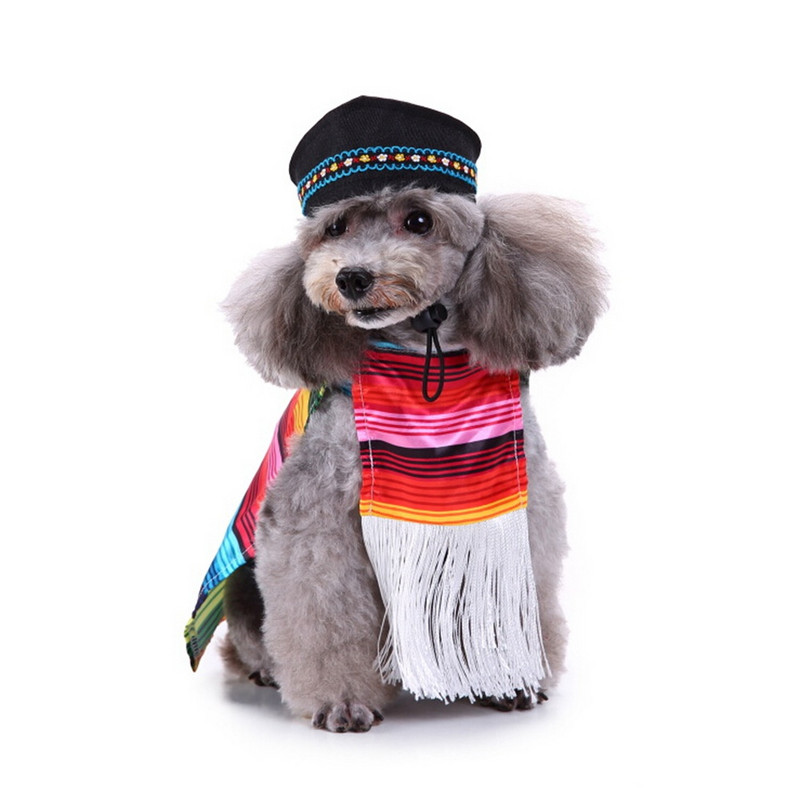 Odjeća za kućne ljubimce za male pse Zimska Božićna odjeća za Noć vještica Topla mačja jakna Čarobnjak za transformaciju Smiješni kostim