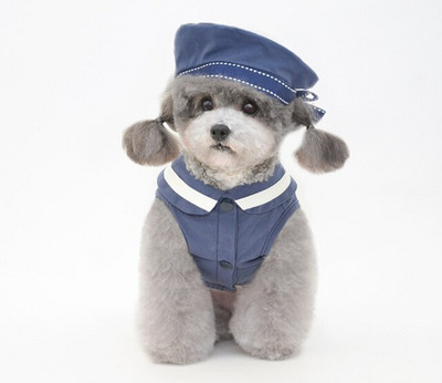 jarná a letná nová sukňa pre domáce zvieratá, sukňa pre šteniatka