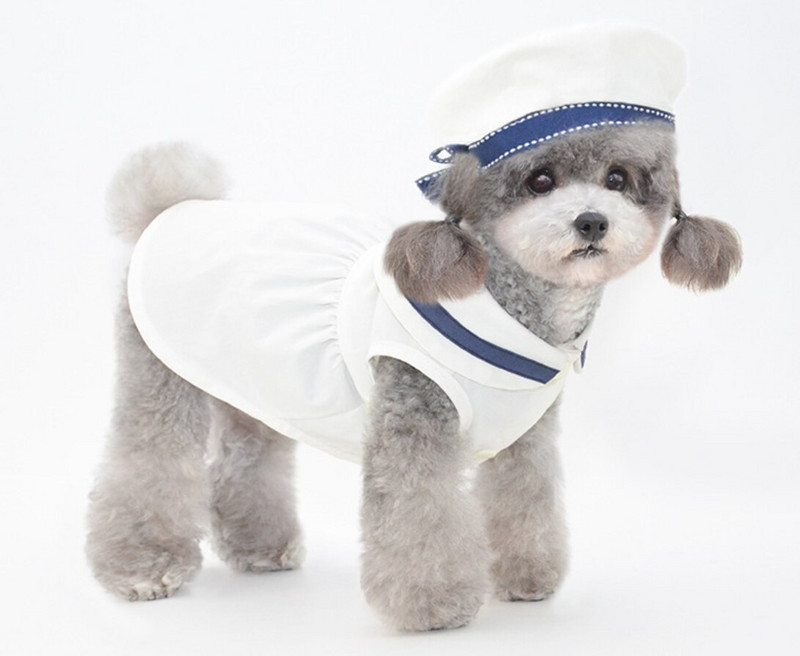 jarná a letná nová sukňa pre domáce zvieratá, sukňa pre šteniatka