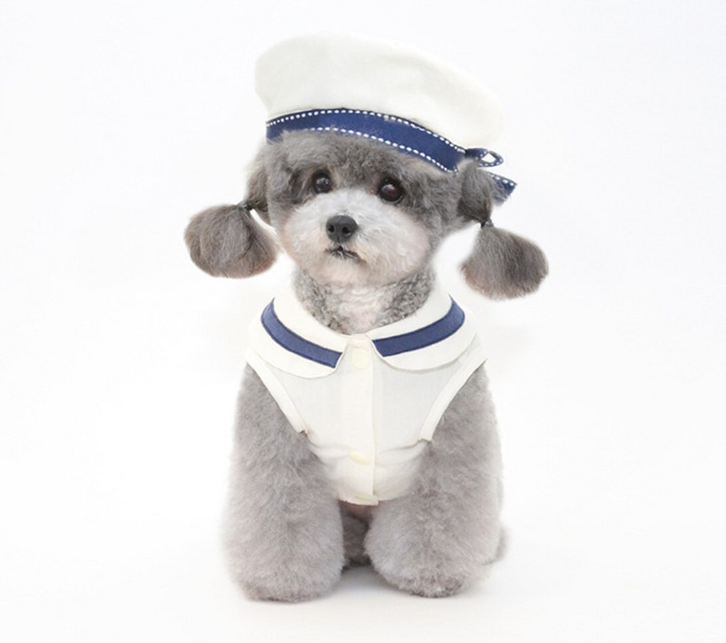 jarná a letná nová sukňa pre domáce zvieratá, sukňa pre šteniatka