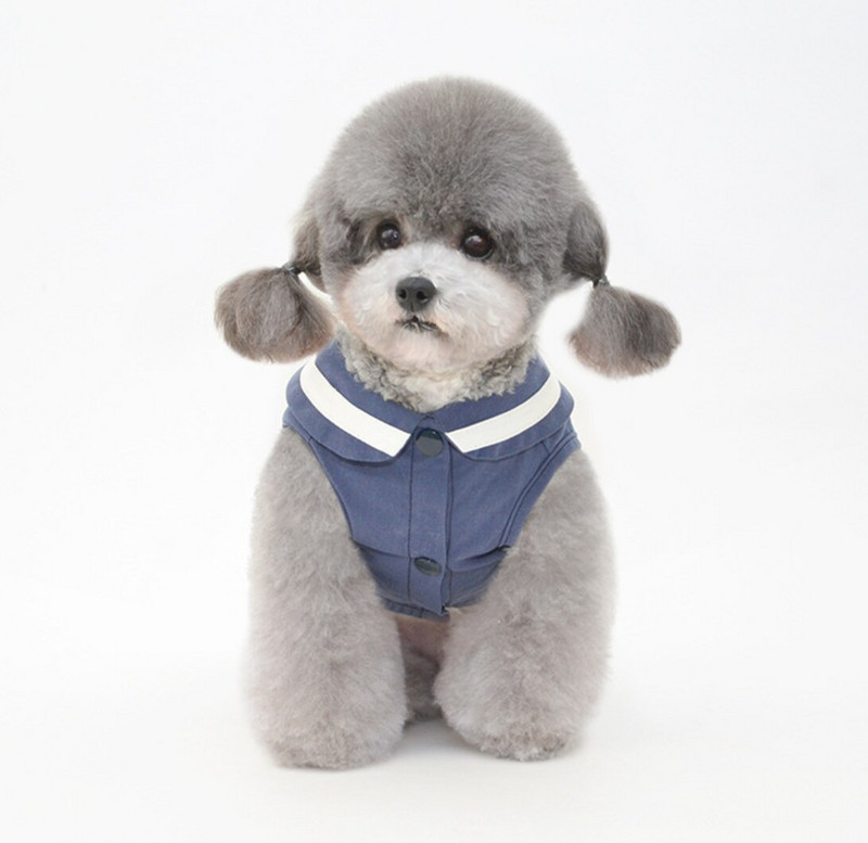 jarná a letná nová sukňa pre domáce zvieratá, sukňa pre šteniatka