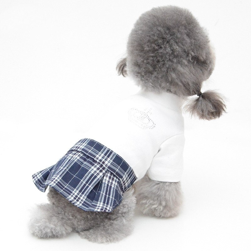 Uued kevadised lemmikloomariided kutsikate teddy Pomerangi riided lahtised riided koera seelikud