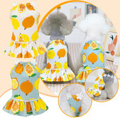 Kutsikate riided teetassi jaoks Lemmikloomakleidid Kevad- ja Suvised Lemmikloomade riided Kevad- ja Suvised Armsad Lemmikloomatarvikute kleidid