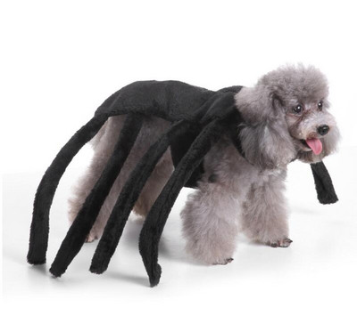 Lemmikkoer Halloweeni jõulukostüüm Kõrvitsa ümberkujundamise viisard Naljakas pühadepidu Cosplay Lemmiklooma koera kampsun jakk müts Riided