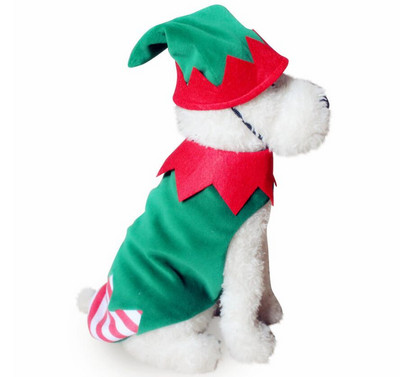 Lemmikkoer Halloweeni jõulukostüüm Kõrvitsa ümberkujundamise viisard Naljakas pühadepidu Cosplay Lemmiklooma koera kampsun jakk müts Riided