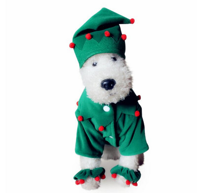 Lemmikkoer Halloweeni jõulukostüüm Kõrvitsa ümberkujundamise viisard Naljakas pühadepidu Cosplay Lemmiklooma koera kampsun jakk müts Riided