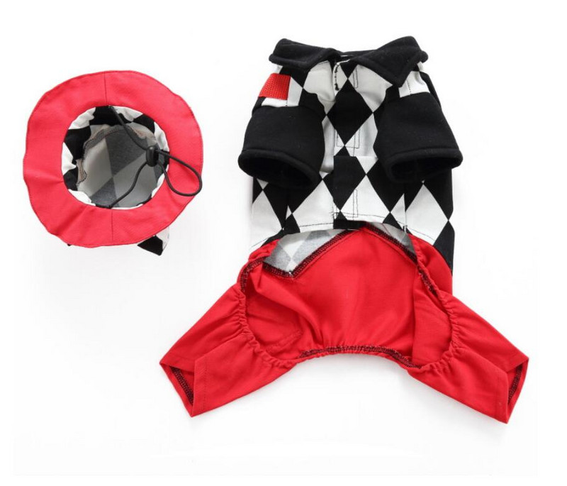 Lemmikkoer Halloweeni jõulukostüüm Kõrvitsa ümberkujundamise viisard Naljakas pühadepidu Cosplay Lemmiklooma koera kampsun jakk müts Riided