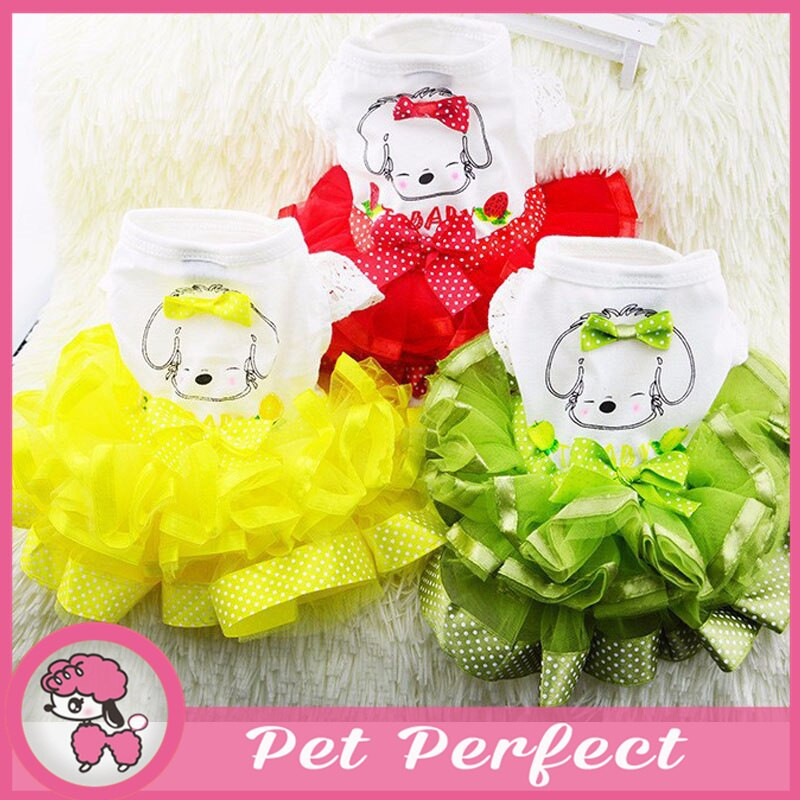 Naujas šunų sijonas pavasario ir vasaros rūbai šunims XS XXL šuniuko suknelė Teddy