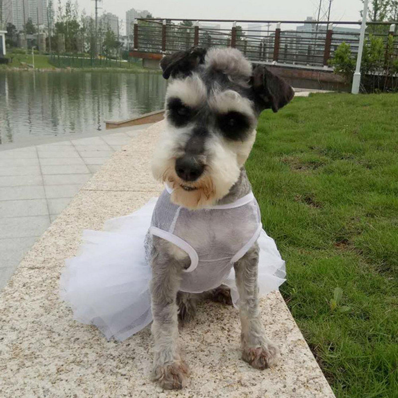 2 spalvos Geras šuniukas Blizgučiai Suknelė Naminių gyvūnėlių fotografija Rekvizitai Naminių gyvūnėlių drabužiai Akį traukiantys pavasariui