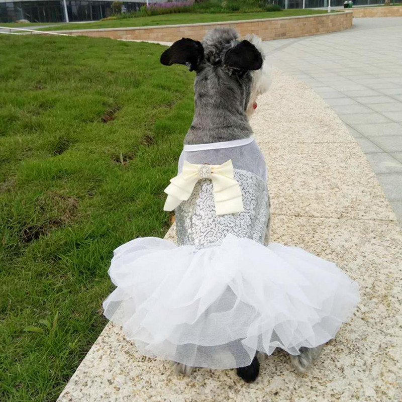 2 spalvos Geras šuniukas Blizgučiai Suknelė Naminių gyvūnėlių fotografija Rekvizitai Naminių gyvūnėlių drabužiai Akį traukiantys pavasariui