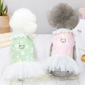 Koerariided suvesügisene õhuke teksaseelik koos tõmberõngaga väikesele koerakassile teddy prantsuse buldogi Pommeri koera vest