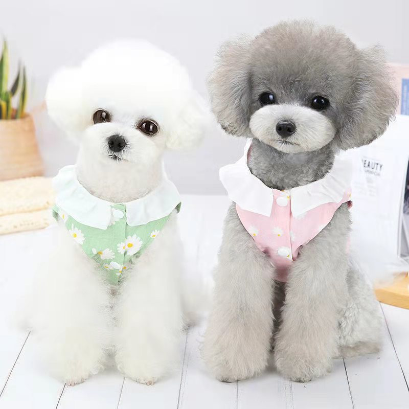 Koerariided suvesügisene õhuke teksaseelik koos tõmberõngaga väikesele koerakassile teddy prantsuse buldogi Pommeri koera vest