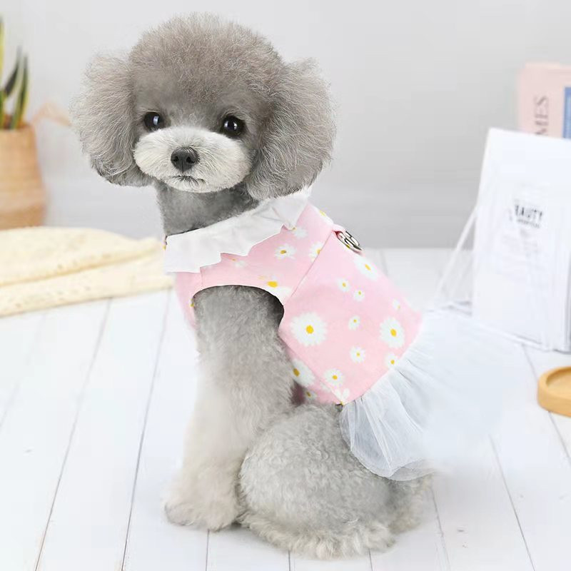 Koerariided suvesügisene õhuke teksaseelik koos tõmberõngaga väikesele koerakassile teddy prantsuse buldogi Pommeri koera vest