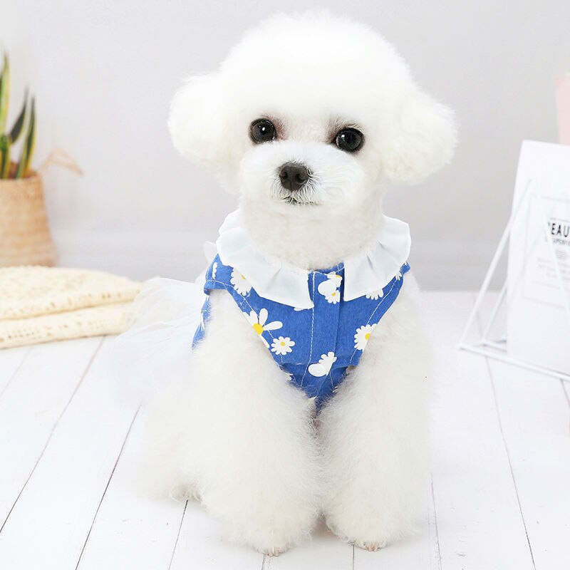 Koerariided suvesügisene õhuke teksaseelik koos tõmberõngaga väikesele koerakassile teddy prantsuse buldogi Pommeri koera vest