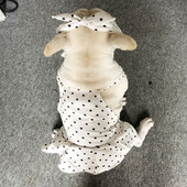 Šaty pre psov, bodkované princeznovské mačacie šaty, módne letné oblečenie pre psov, sukne pre malých a veľkých psov, dievčatá, tričká pre psov yorkshirského typu