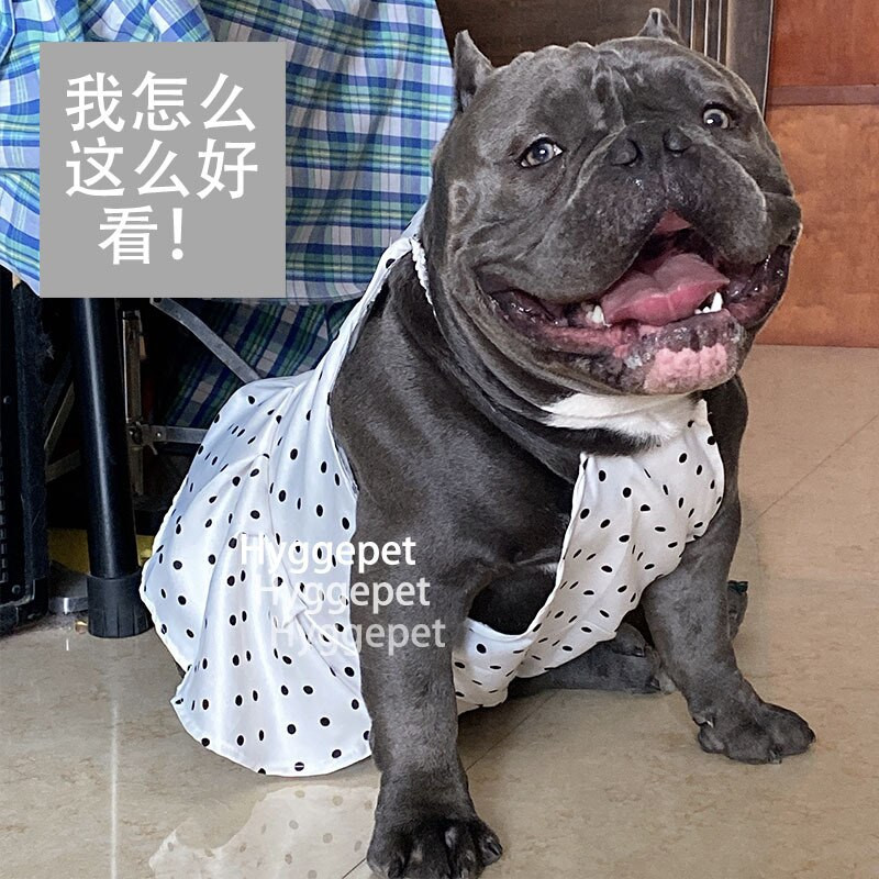 Šaty pre psov, bodkované princeznovské mačacie šaty, módne letné oblečenie pre psov, sukne pre malých a veľkých psov, dievčatá, tričká pre psov yorkshirského typu