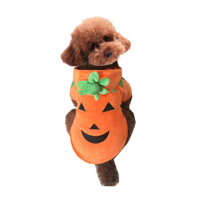 Lemmikloomariided Mood Halloweeni koerte kostüümid Koerte kostüümid Lemmikloomade Cosplay Rekvisiidid Kassirõivad Mood Yorkie riided Lemmikloomatarbed