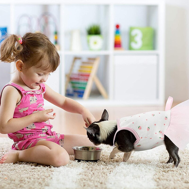 Roztomilé šaty pre psov, sukňa, šteniatko, letné ovocné šaty, spoločenské zvieratá, princezná, letné oblečenie, oblečenie pre malé psy, mačky, čivavy, pudel, mops