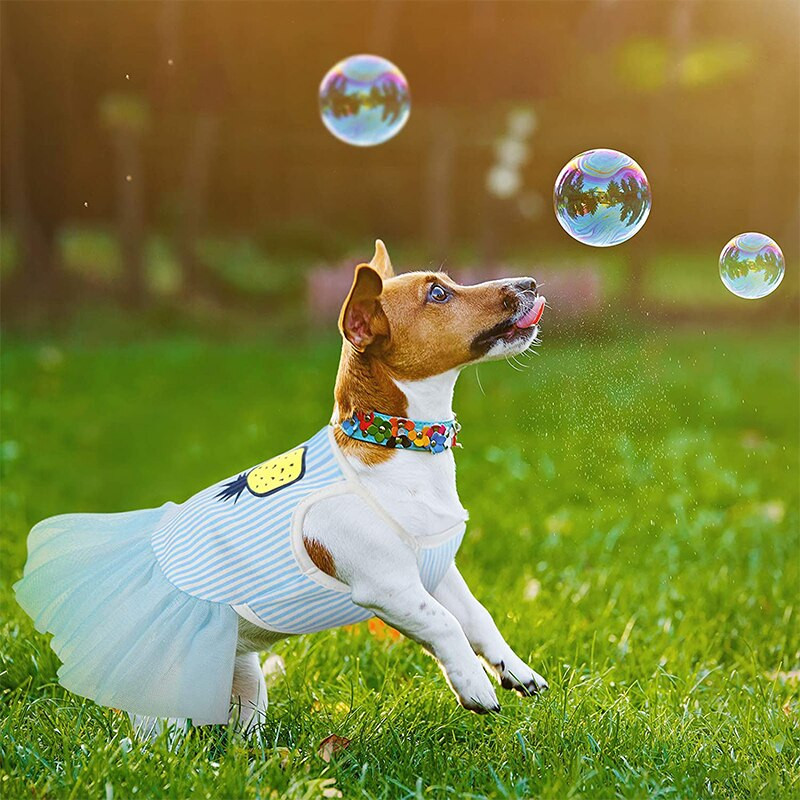 Roztomilé šaty pre psov, sukňa, šteniatko, letné ovocné šaty, spoločenské zvieratá, princezná, letné oblečenie, oblečenie pre malé psy, mačky, čivavy, pudel, mops