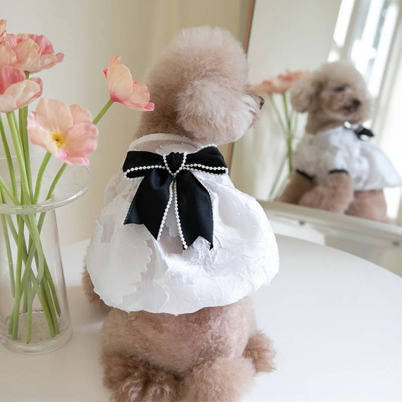 Jarné a letné oblečenie pre psov, sukňa s perleťovou mašľou, malá vôňa, oblečenie pre domáce zvieratá, oblečenie pre mačky a psy, roztomilý plyšový čivava.