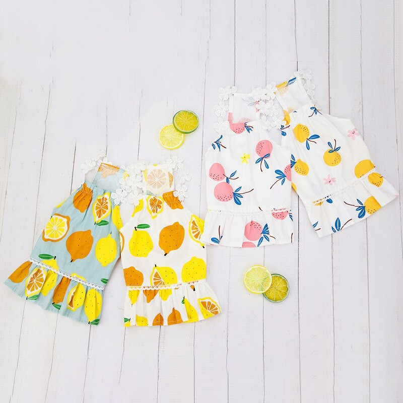 Rochie pentru câini pentru animale de companie Haine subțiri de vară pentru câini, cu imprimeu cu fructe, fustă cățelușă, îmbrăcăminte, prințesă, rochii pentru animale de companie, pentru caniche, pluș, chihuahua