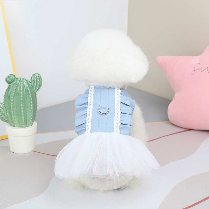 Oblečenie pre psov pre malé psy 2022 Jar/leto, šaty, oblečenie pre domáce zvieratá, šteniatka, módne šaty pre bišonov, princeznovské, bez vodítka