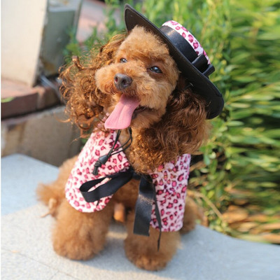 Kostým pre malého psa, pláštenka a parochňa, klobúk, sada, šteňa, pokrývka hlavy, plášť, cosplay oblečenie, doplnky na Halloween, vianočné oblečenie