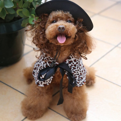 Kostým pre malého psa, pláštenka a parochňa, klobúk, sada, šteňa, pokrývka hlavy, plášť, cosplay oblečenie, doplnky na Halloween, vianočné oblečenie