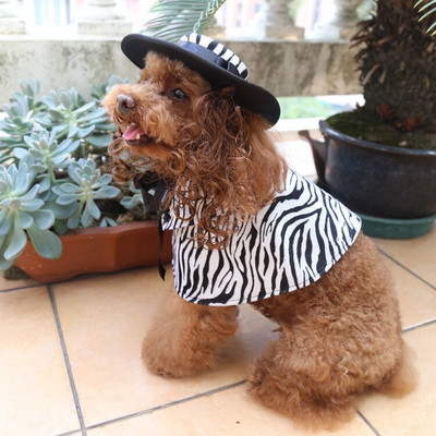 Kostým pre malého psa, pláštenka a parochňa, klobúk, sada, šteňa, pokrývka hlavy, plášť, cosplay oblečenie, doplnky na Halloween, vianočné oblečenie