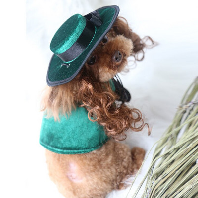 Kostým pre malého psa, pláštenka a parochňa, klobúk, sada, šteňa, pokrývka hlavy, plášť, cosplay oblečenie, doplnky na Halloween, vianočné oblečenie